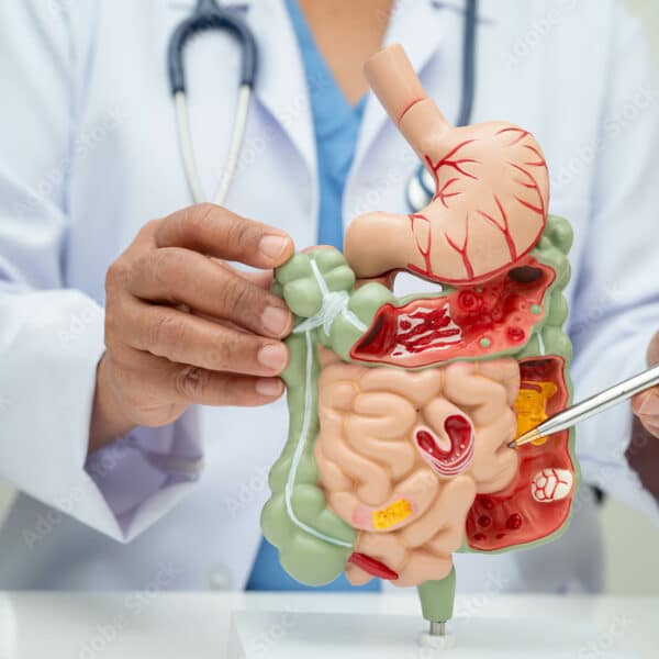 Expert Internal Medicine Billing and Coding Services